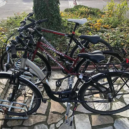 Apartament Dream In Basement With Private Bathroom Brugg (Bern)